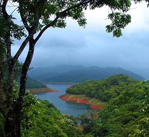 Cheruthony, Idukki Reservoir